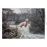 Nieve de la tarjeta del golden retriever