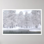 Nieve de noviembre posters