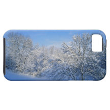 Nieve de registro en Louisville, Kentucky iPhone 5 Fundas