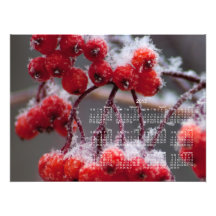 Nieve de SONB en bayas; Calendario 2013 Impresiones Fotográficas