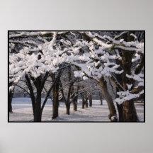 Nieve del algodón posters