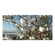 Nieve del invierno tarjeta con foto personalizada