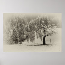 Nieve en árbol impresiones