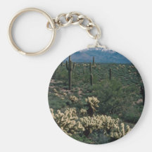 Nieve en cuatro flores de los picos llavero personalizado