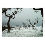 Nieve en prado del roble de Garry Felicitaciones