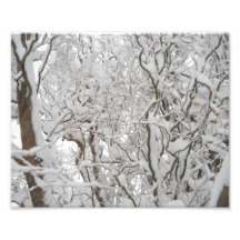 ¡Nieve! Impresion Fotografica