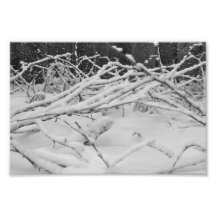 Nieve Impresiones Fotográficas