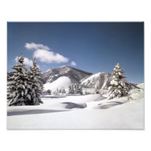 Nieve recientemente caida impresiones fotográficas
