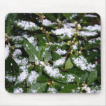 Nieve Tapete De Raton