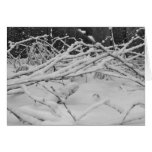 Nieve tarjetas