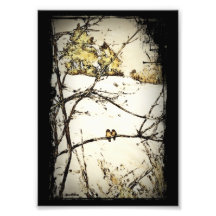 Nieve y frío del invierno arte fotografico