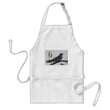 Nighthawk Delantales