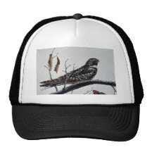 Nighthawk Gorro