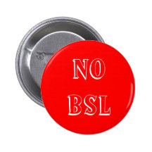 NINGÚN BSL PIN