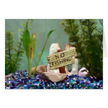 ¡Ninguna pesca! Felicitaciones