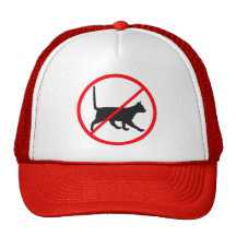 ¡Ningunos gatos permitidos! Gorras De Camionero