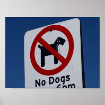 Ningunos perros poster
