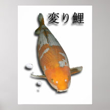 Nishikigoi Ochiba Shigure Affisch