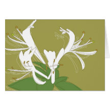 No. 3 de Notecard de la MADRESELVA Tarjeta