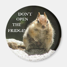 ¡No abra el refrigerador! Imán De Nevera