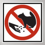 No alimente a ardillas la muestra de la carretera impresiones