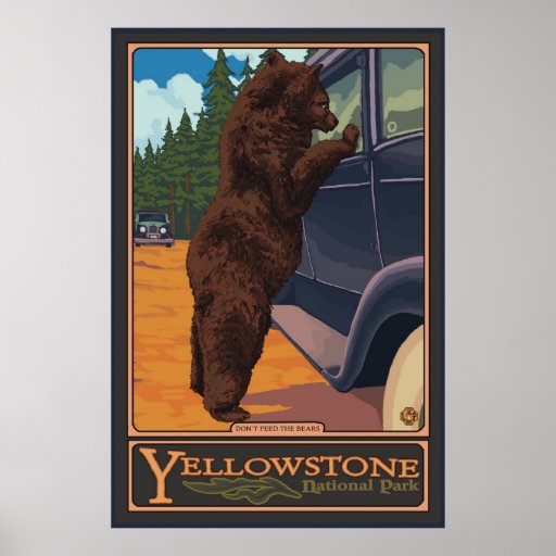 No alimente los osos - Yellowstone parque nacional Poster