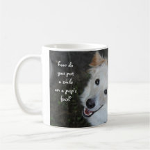 No hace compras… adopta, la taza feliz del rescate