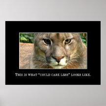No podría cuidar realmente menos [el XL] Posters