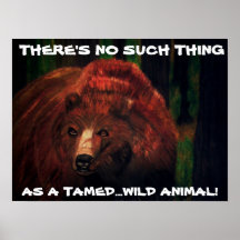 NO PUEDE TAME el poster SALVAJE del GRISÁCEO