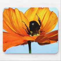 no puede verme la abeja alfombrillas de raton 