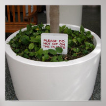 no se siente en las plantas posters