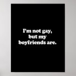 No soy gay, pero mis novios son poster