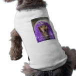 no soy princesa… ropa perro