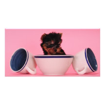 ¡No soy un caniche de la taza de té! Tarjeta Con Foto Personalizada