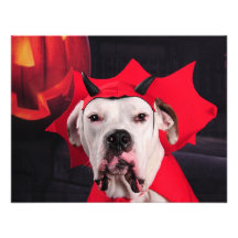 ¡No soy un perro de diablo! Anuncios Personalizados