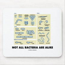 No todas las bacterias son semejantes (la morfolog alfombrilla de raton