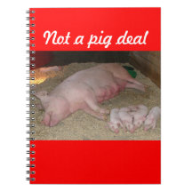 No un trato del cerdo libreta