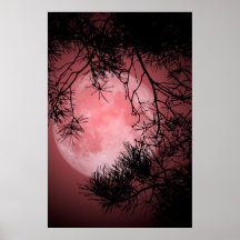 Noche de la Luna Llena Impresiones
