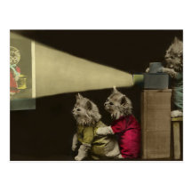 Noche de película postales