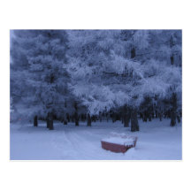 Noche del invierno tarjeta postal