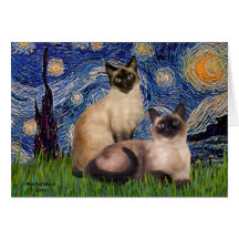 Noche estrellada - dos gatos siameses (Choc pinta) Felicitacion