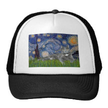 Noche estrellada - gato gris gorro