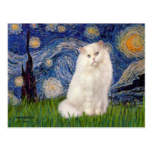 Noche estrellada - gato persa blanco postales