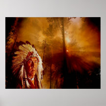 noche nativa poster