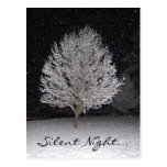 Noche silenciosa… Postal