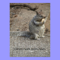 Nom del nom del nom de Omm posters