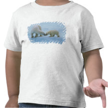 Norteamérica, ártico canadiense. Oso polar y Camisetas