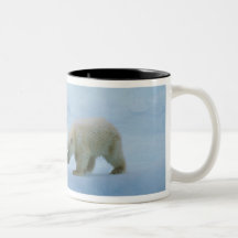 Norteamérica, ártico canadiense. Oso polar y Taza De Café