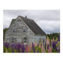 Norteamérica, Canadá, Isla del Principe Eduardo, Postal