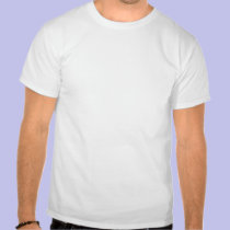Norteamérica, los E.E.U.U., la Florida, Canaveral camisetas